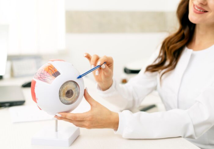 woman holding model eye